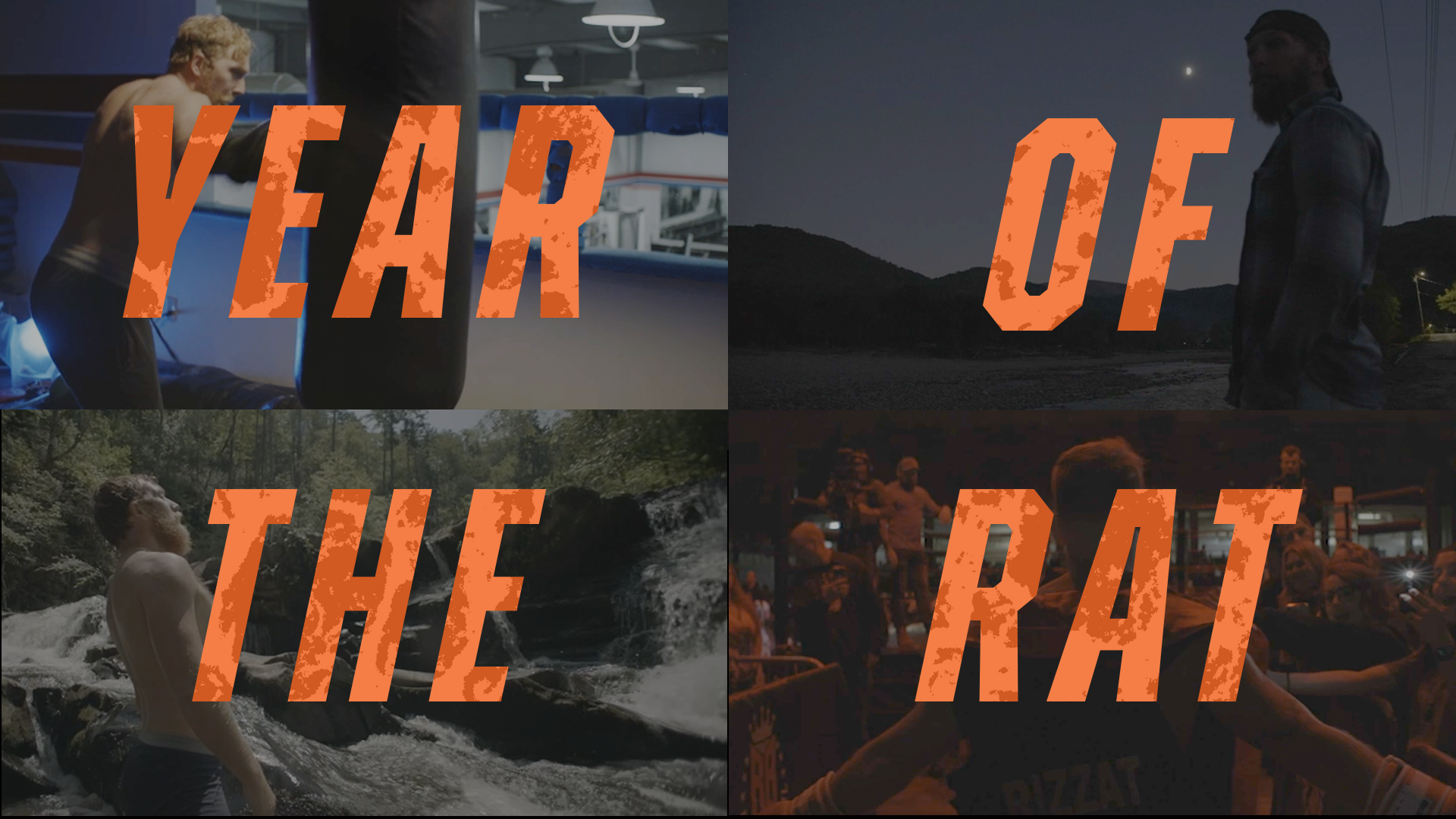 YEAR OF THE RAT